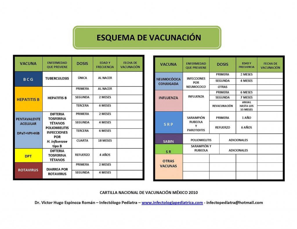cartilla esquema vacunas mexico